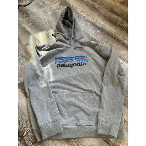 Patagonia Other - Patagonia Mens Size L Hoodie Logo Sweatshirt Gray P￼ullover.